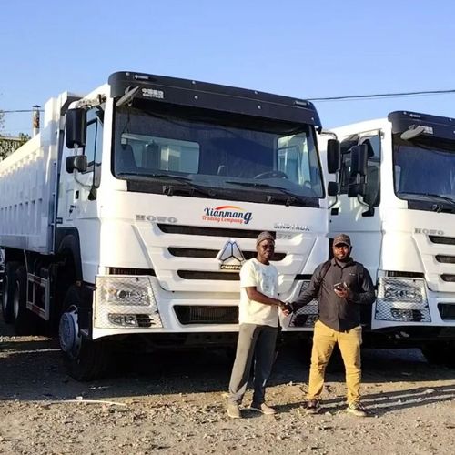コンゴの2人の友人が トラック駐車場を訪れ ホワ371の白いトラックを2台購入しました